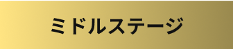 ミドルステージ